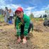 Una de las plantaciones se realizó en el humedal El Burro, con el apoyo y participación de la comunidad. 