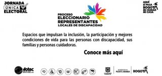 Inicia Proceso Eleccionario De Representantes A Los Consejos Locales De Discapacidad