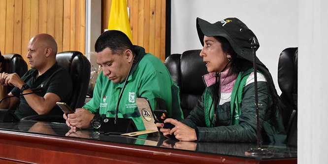 ARBOLES EN PUENTE ARANDA