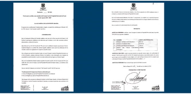 Consejo Local de Propiedad Horizontal de Puente Aranda vigencia 2018-2020 