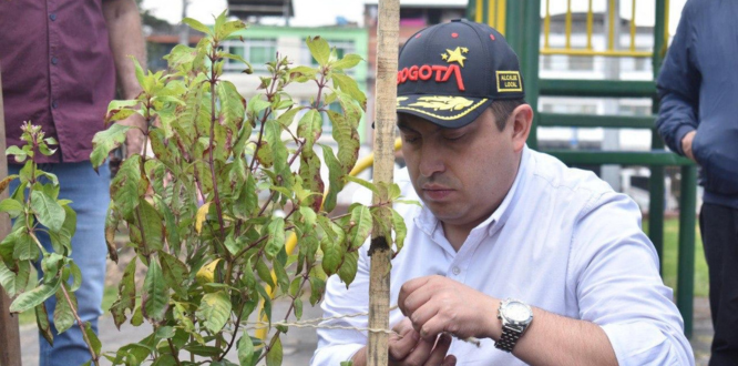 Alcalde sembrando un arbol
