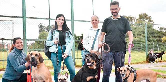 brigada medico veterinaria