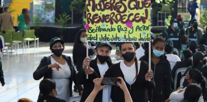 Mujeres que reverdecen