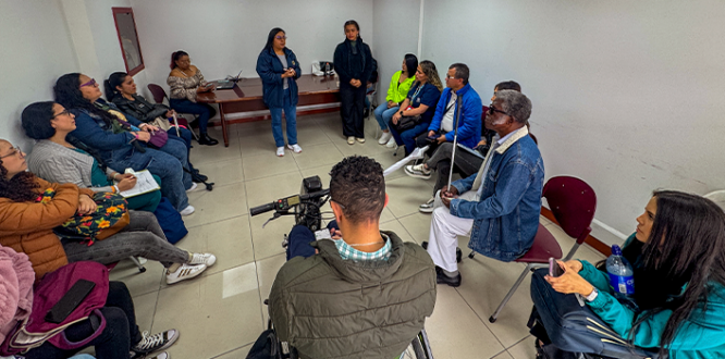 Representantes locales de discapacidad