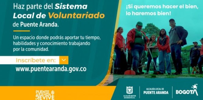 sistema de voluntariado
