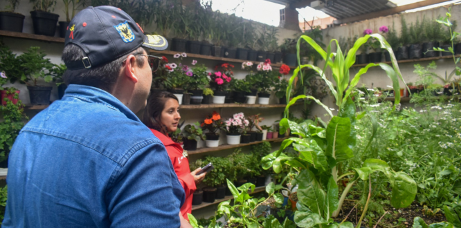 ELECCIONES ATÍPICAS – COMISIÓN AMBIENTAL LOCAL Resolución 297 del 24 de noviembre de 2025 ELECCIONES ATÍPICAS – COMISIÓN AMBIENTAL LOCAL Resolución 297 del 24 de noviembre de 2025