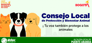 Puente Aranda abre inscripciones para conformar el Consejo Local de Protección y Bienestar Animal