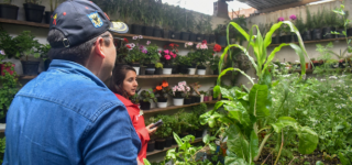  ELECCIONES ATÍPICAS – COMISIÓN AMBIENTAL LOCAL Resolución 297 del 24 de noviembre de 2025